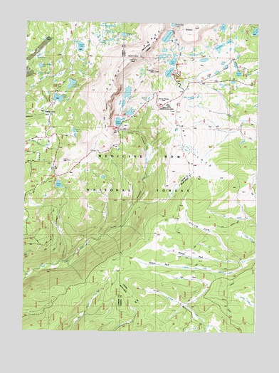 Medicine Bow Peak, WY USGS Topographic Map