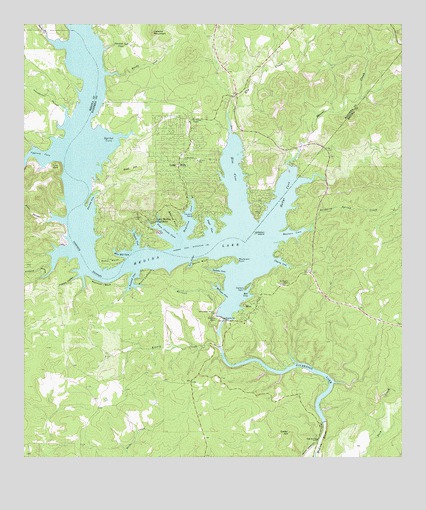 Medina Lake, TX USGS Topographic Map