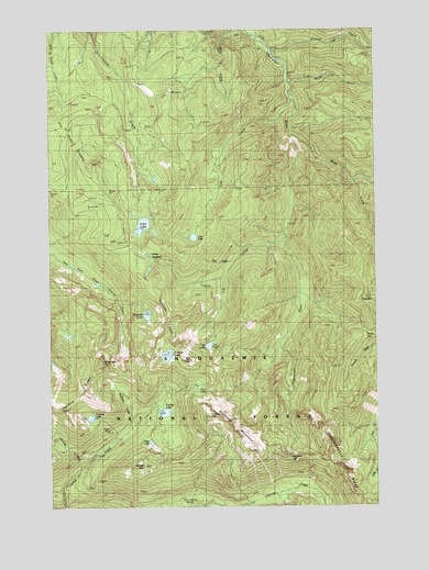 Bearhead Mountain, WA USGS Topographic Map