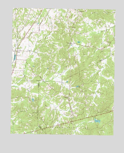 Medon, TN USGS Topographic Map