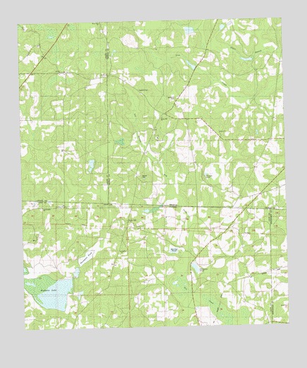 Miccosukee NE, GA USGS Topographic Map