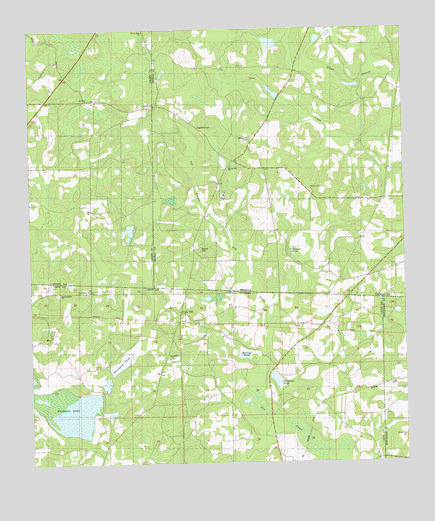Miccosukee NE, GA USGS Topographic Map