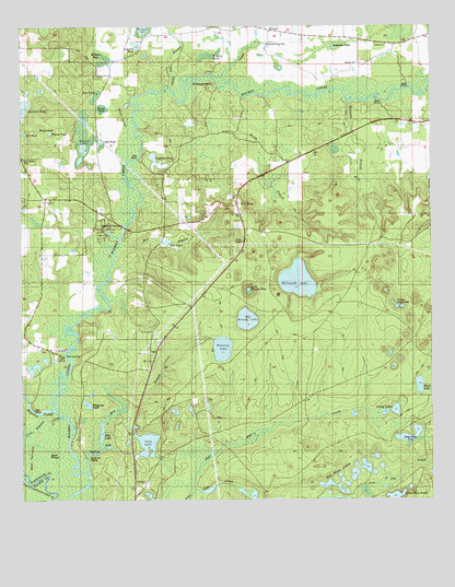 Millers Ferry, FL USGS Topographic Map