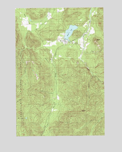 Mineral, WA USGS Topographic Map