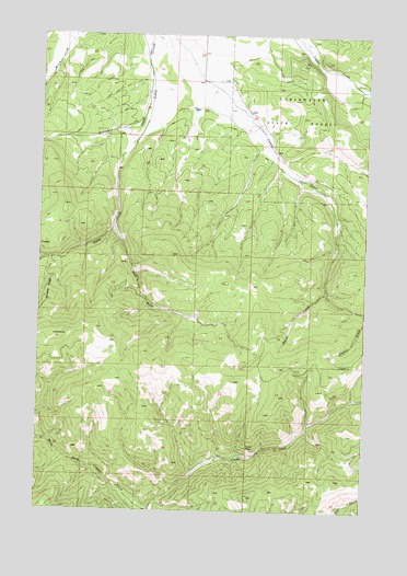 Mineral Ridge, MT USGS Topographic Map