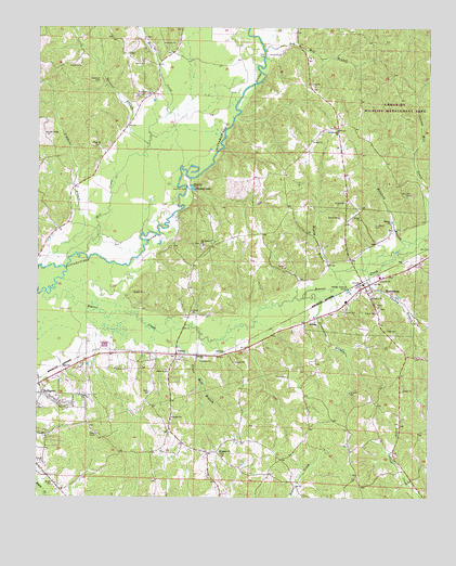 Beaverton, AL USGS Topographic Map