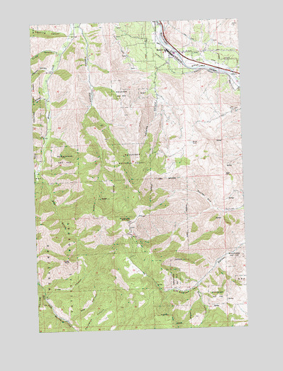 Monitor, WA USGS Topographic Map
