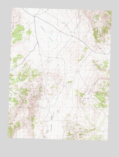 Bedell Flat, NV USGS Topographic Map