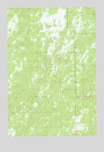 Moose Junction, WI USGS Topographic Map