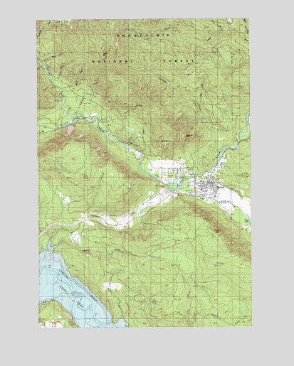 Morton, WA USGS Topographic Map