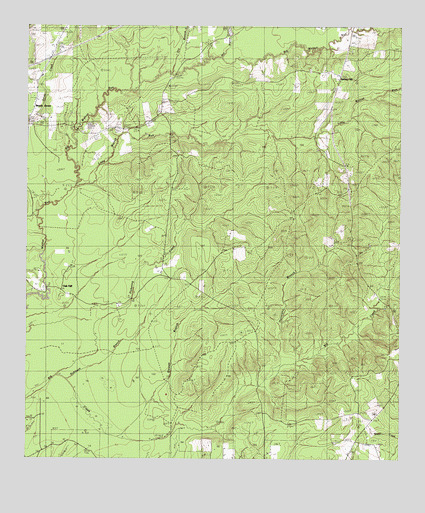 Beech Grove, TX USGS Topographic Map