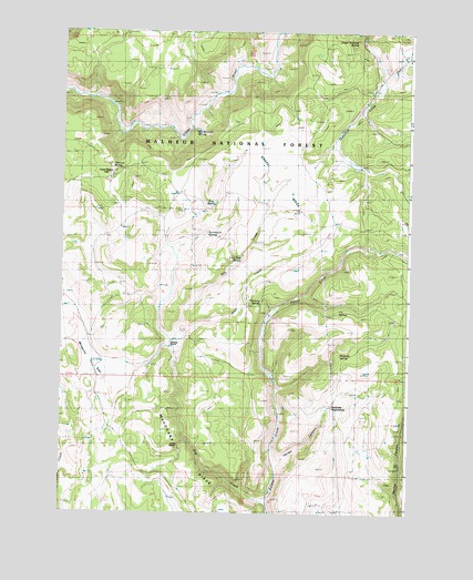 Mosquito Flat, OR USGS Topographic Map