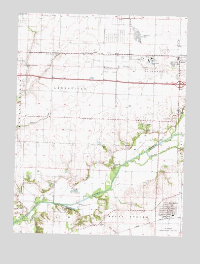 Mount Auburn, IL USGS Topographic Map