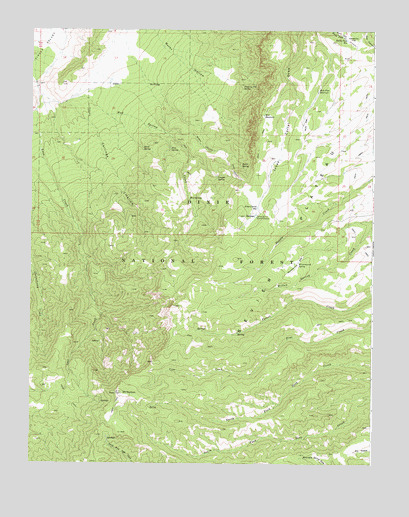 Mount Dutton, UT USGS Topographic Map