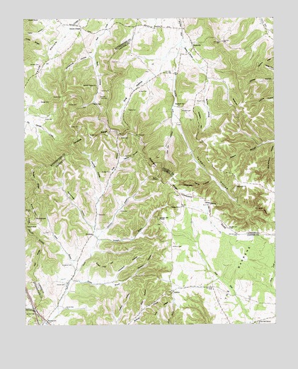 Beechgrove, TN USGS Topographic Map