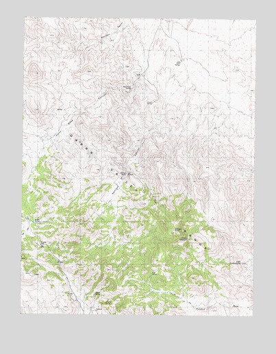 Mount Ferguson, NV USGS Topographic Map