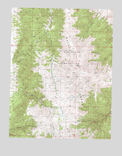Mount Grant, NV USGS Topographic Map