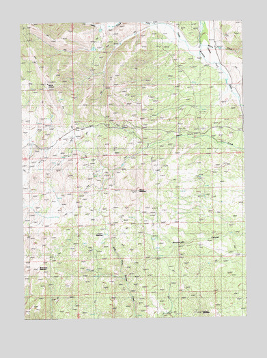 Mount Ichabod, NV USGS Topographic Map