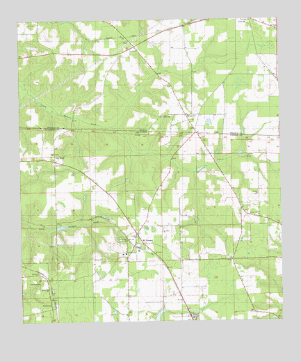 Mount Pleasant, FL USGS Topographic Map