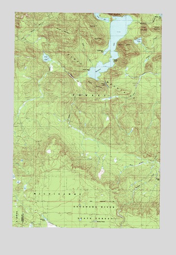 Mountain Lake, MI USGS Topographic Map
