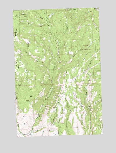 Naneum Canyon, WA USGS Topographic Map