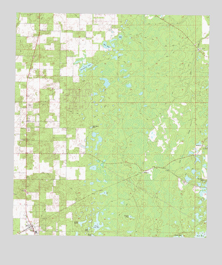 Bell, FL USGS Topographic Map