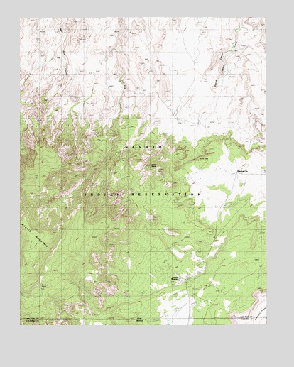 Navajo Begay, UT USGS Topographic Map
