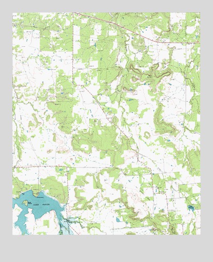 Necessity, TX USGS Topographic Map