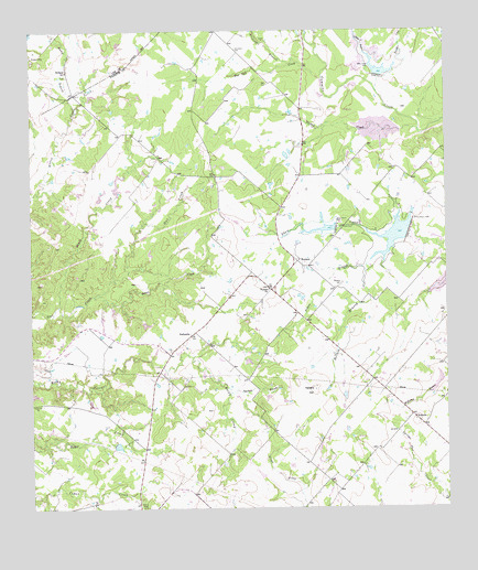 Nechanitz, TX USGS Topographic Map