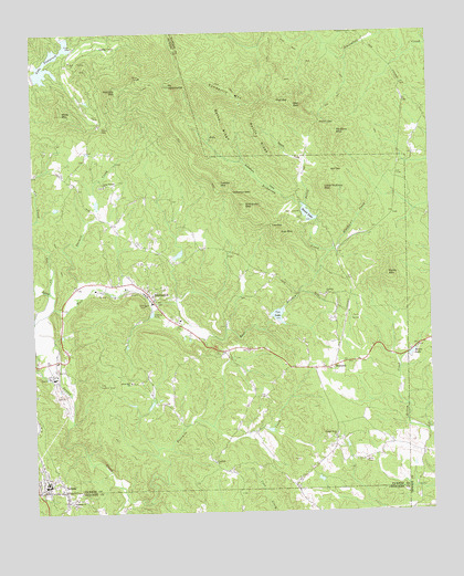Nelson, GA USGS Topographic Map