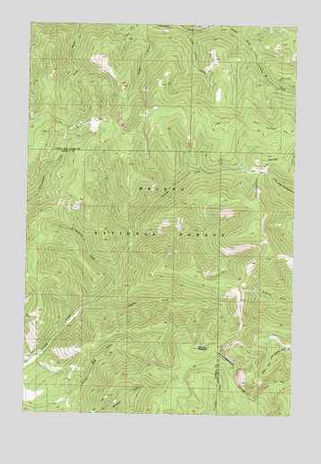 Nevada Mountain, MT USGS Topographic Map