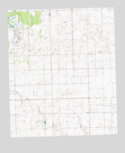 New Moore, TX USGS Topographic Map