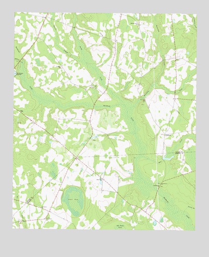 Bellevue, GA USGS Topographic Map