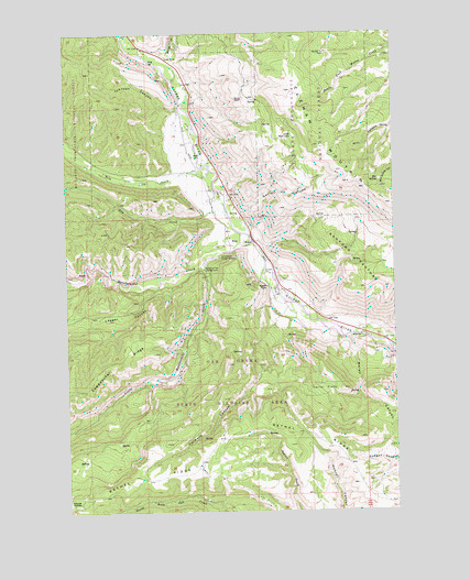 Nile, WA USGS Topographic Map