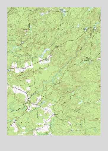 North Wilmurt, NY USGS Topographic Map