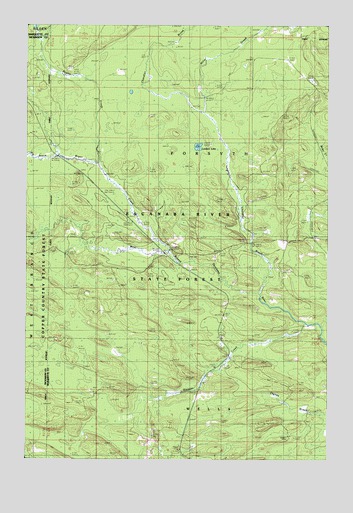 Northland NE, MI USGS Topographic Map