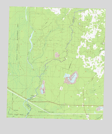 Nutall Rise, FL USGS Topographic Map