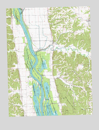 Nutwood, IL USGS Topographic Map