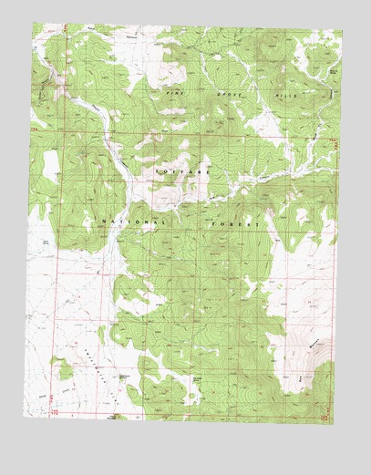 Nye Canyon, NV USGS Topographic Map