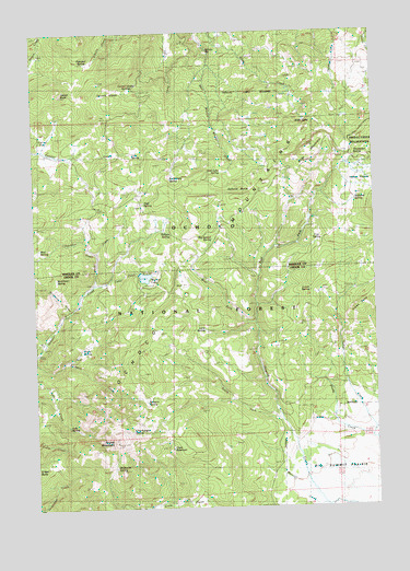 Ochoco Butte, OR USGS Topographic Map