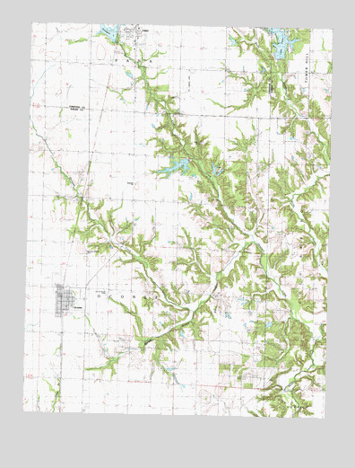 Oconee, IL USGS Topographic Map