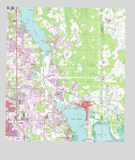 Oldsmar, FL USGS Topographic Map