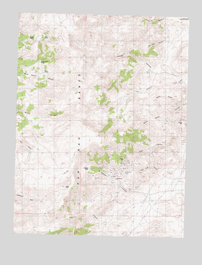 Olinghouse, NV USGS Topographic Map