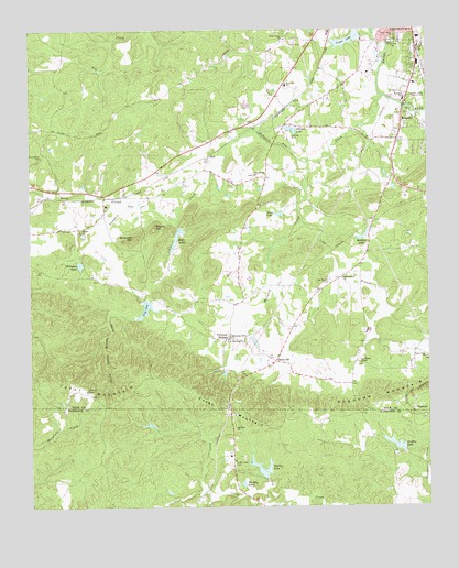 Benedict, GA USGS Topographic Map