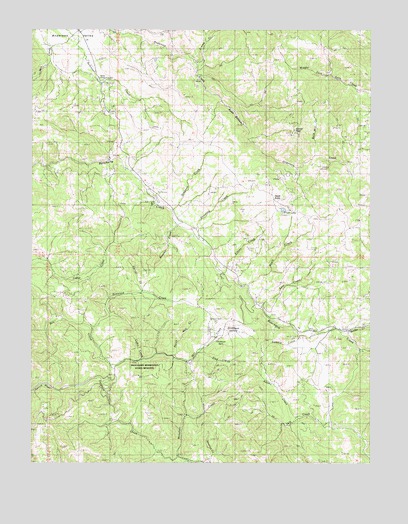 Ornbaun Valley, CA USGS Topographic Map
