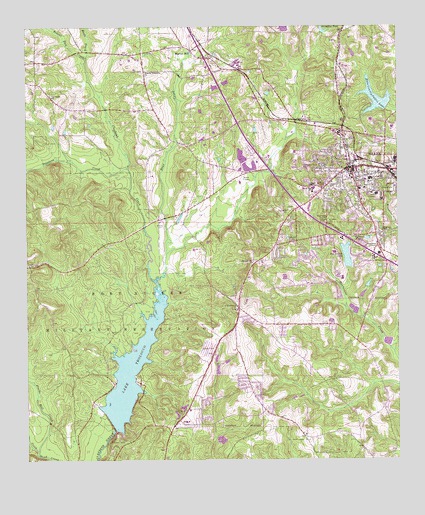 Ozark, AL USGS Topographic Map