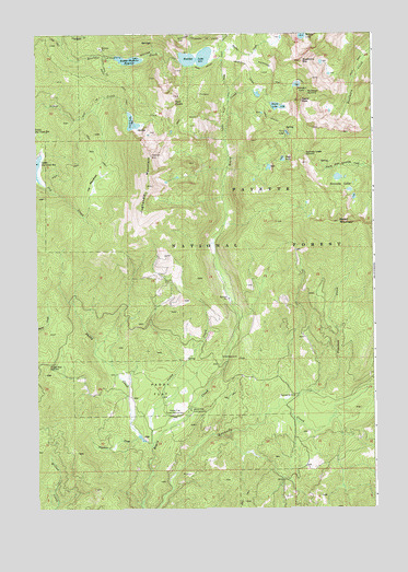 Paddy Flat, ID USGS Topographic Map