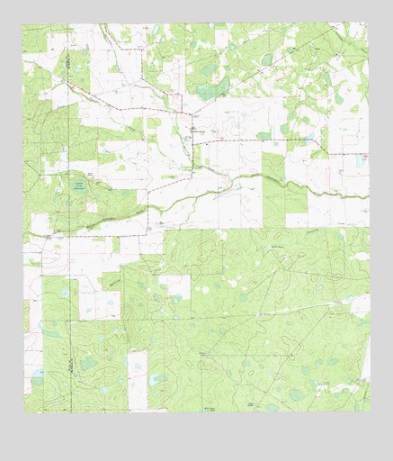 Palito Blanco, TX USGS Topographic Map