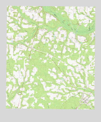 Patterson, GA USGS Topographic Map