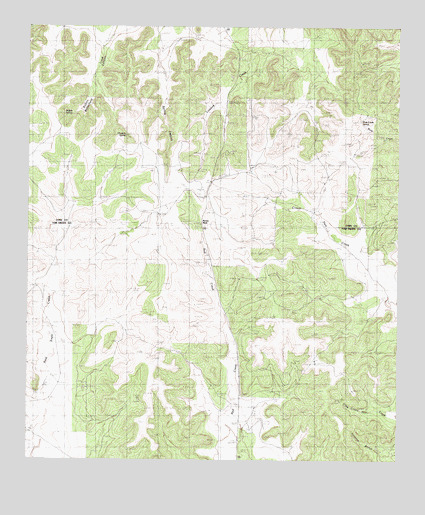 Pecan Mott, TX USGS Topographic Map